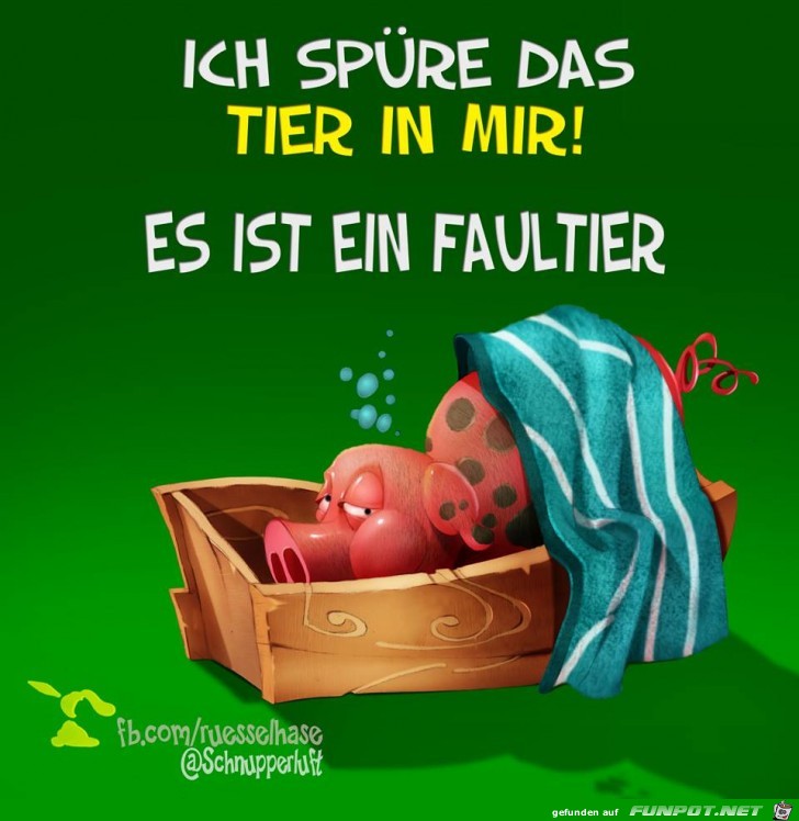 faultier faultier