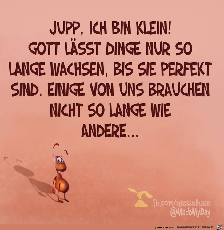 perfekt perfekt