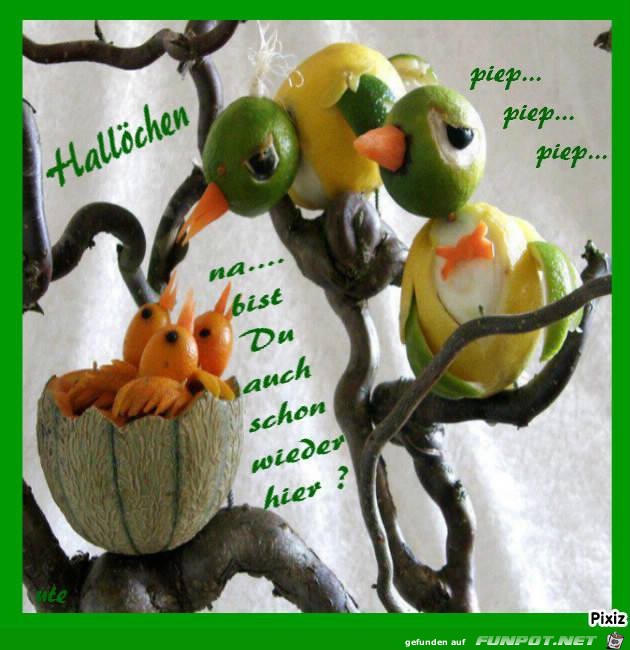 hallo hallo
