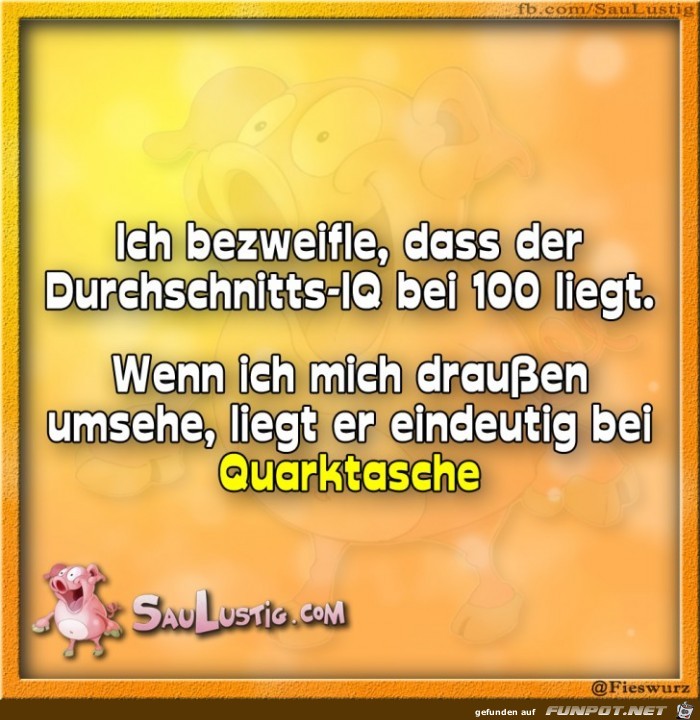 Der Durchschnitts IQ Der Durchschnitts IQ