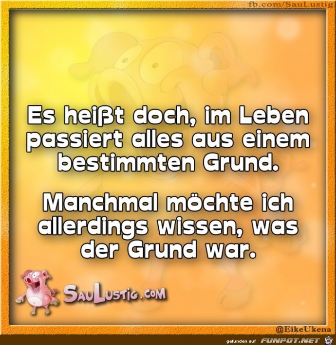 Es passiert alles aus einem bestimmten Grund Es passiert alles aus einem bestimmten Grund