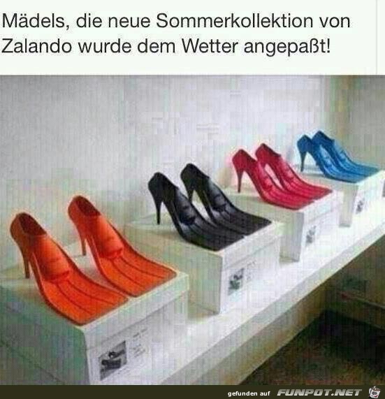 wetterfeste damenschuhe