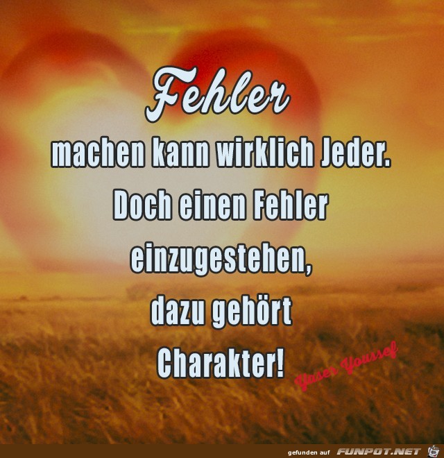 Fehler machen kann ..... Fehler machen kann .....