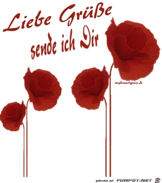 liebe Gre sende ich Dir