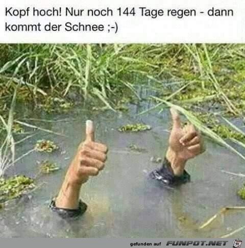 Nicht verzagen Nicht verzagen