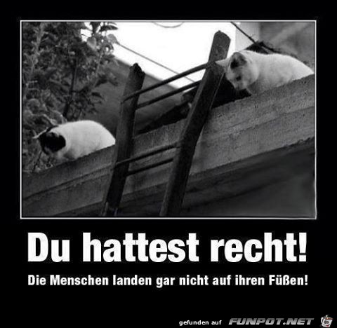 Du hast recht Du hast recht