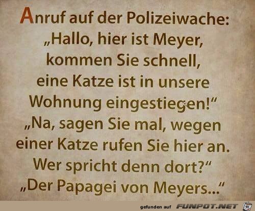 Polizeiwache Polizeiwache