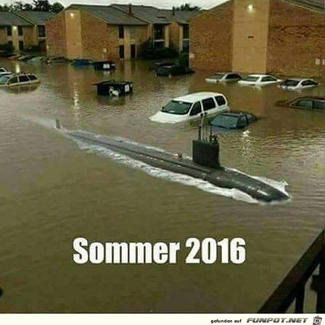 Sommer 2016 Sommer 2016
