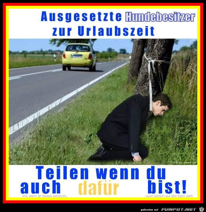 Hundebesitzer zur Urlaubszeit