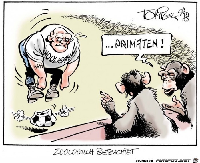 Primaten unter zoologischer Sicht