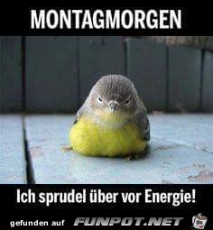 Montag