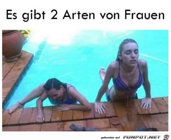 Zwei Arten Zwei Arten