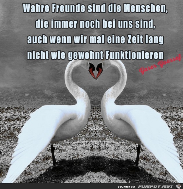 wahre Freunde......