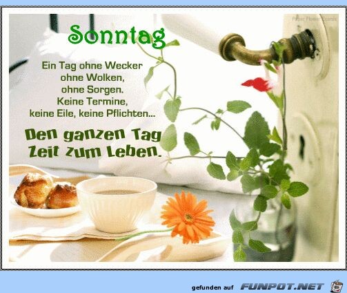 Sonntag Sonntag