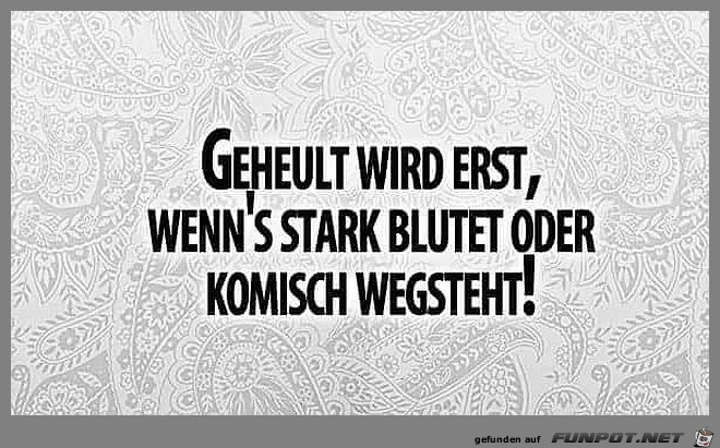 Jetzt wird noch nicht geheult Jetzt wird noch nicht geheult