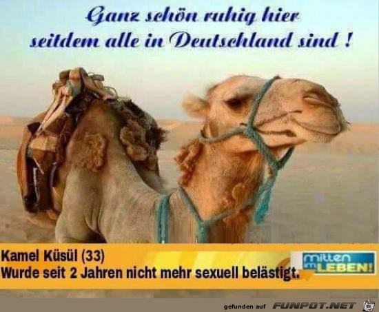 ganz schoen ruhig hier....