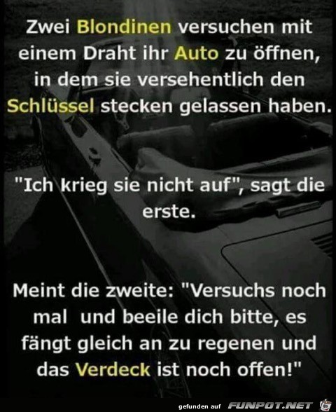 2 Blondinen und ihr Auto.....