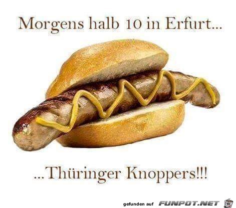 Thueringer Knoppers