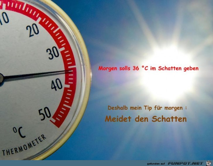 36 Grad im Schatten