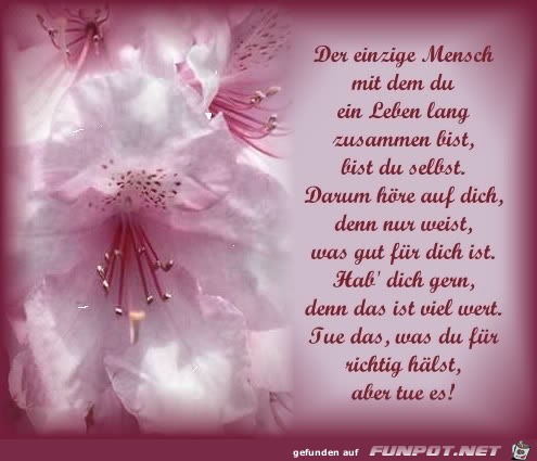 der einzige Mensch ,mit dem du ein... der einzige Mensch ,mit dem du ein...