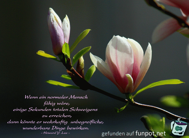 wenn ein Mensch faehig waere...... wenn ein Mensch faehig waere......