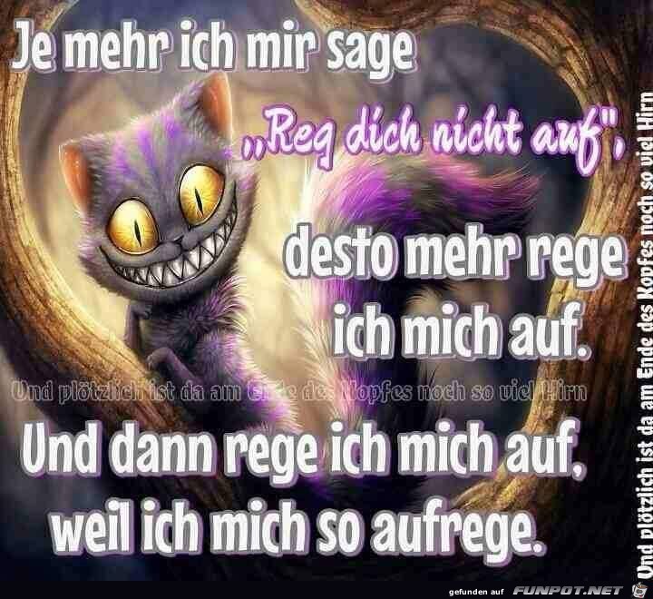 Nicht aufregen Nicht aufregen