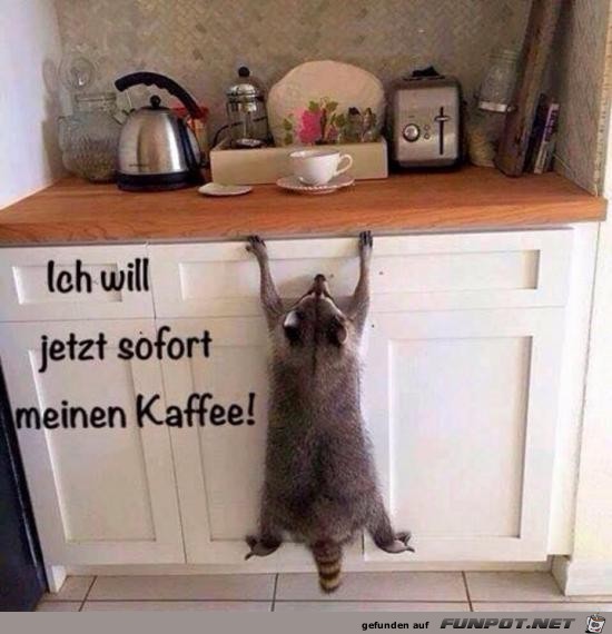 er will Kaffee er will Kaffee