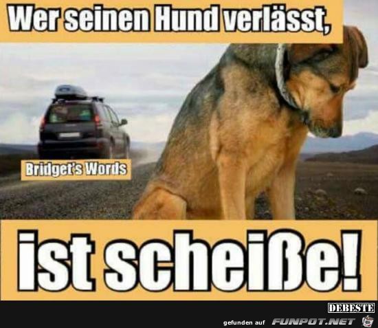 wer seinen Hund verlaesst..... wer seinen Hund verlaesst.....