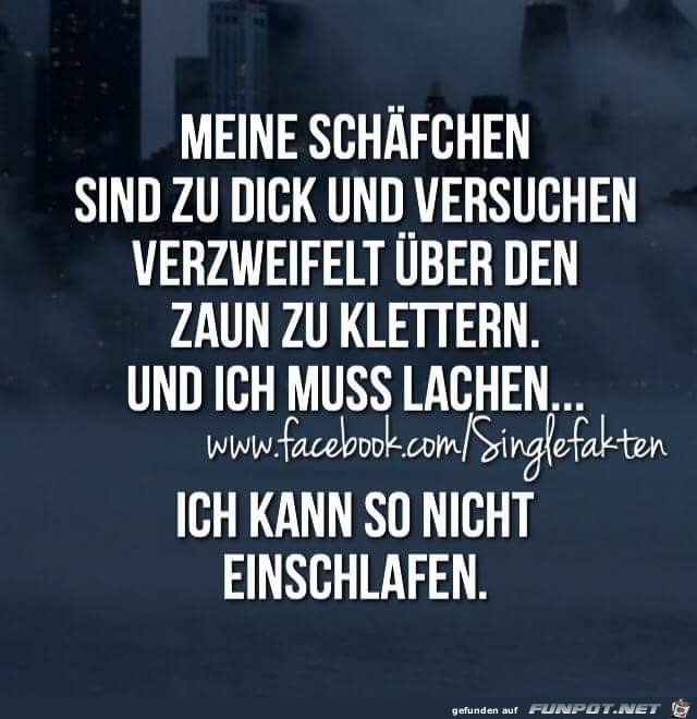 meine Schäfchen... meine Schäfchen...