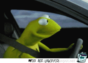 gif Frosch am Steuer gif Frosch am Steuer