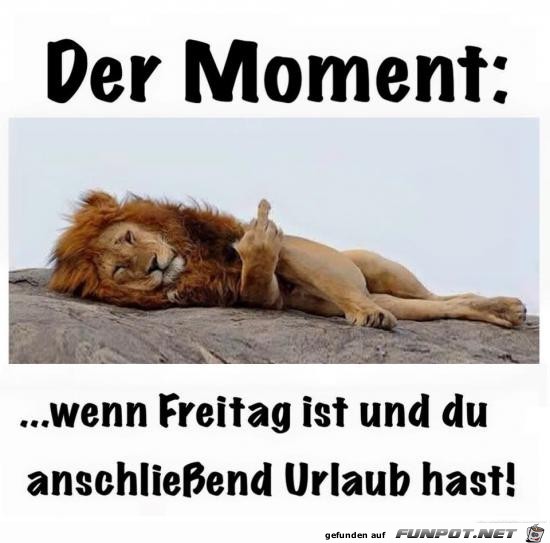 der Moment....