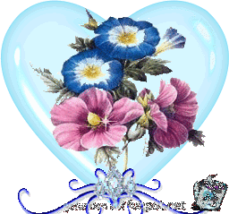gif Blumen gif Blumen