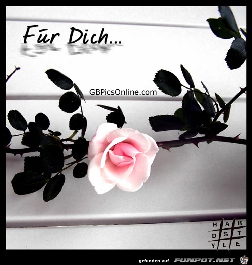 Für Dich... Für Dich...