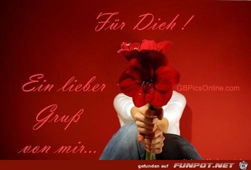 Für Dich - ein lieber Gruß Für Dich - ein lieber Gruß