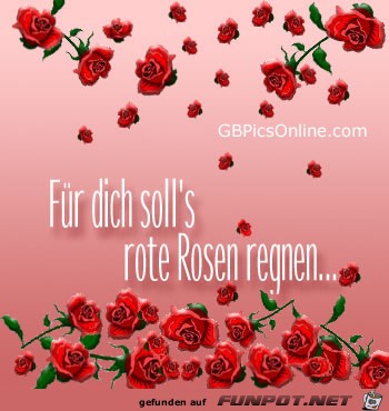 Fr dich solls roten Rosen regnen