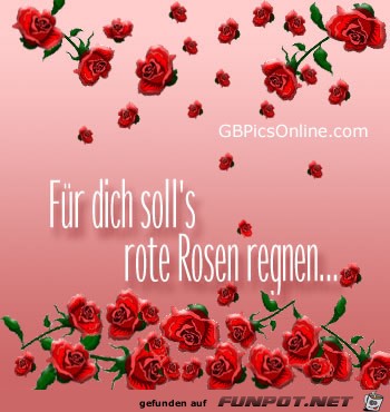 Für dich solls roten Rosen regnen Für dich solls roten Rosen regnen