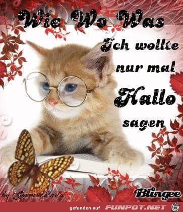 Wie wo was Wie wo was