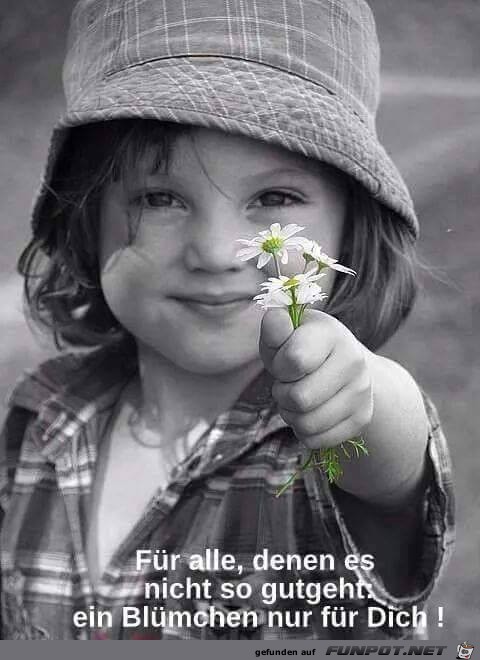 Fuer alle Fuer alle