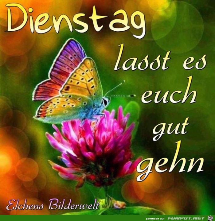 Dienstag- Dienstag-