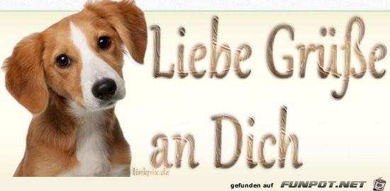 liebe Gruesse an dich