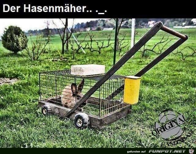 Hasenrasenmaeher Hasenrasenmaeher