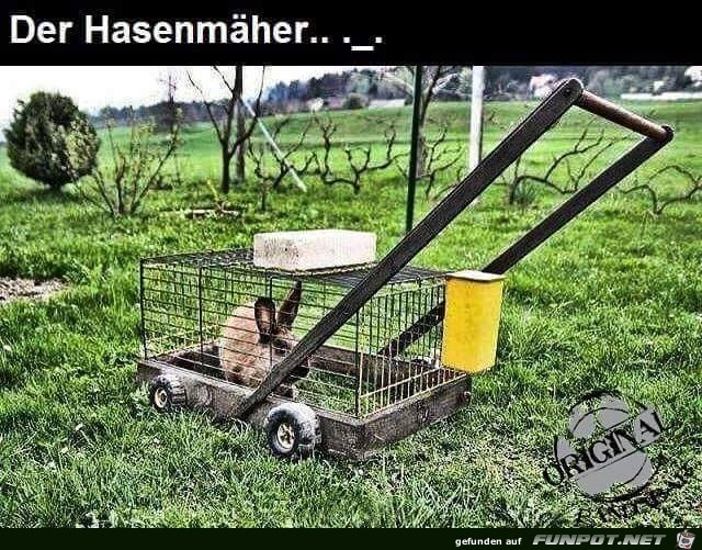 Hasenrasenmaeher