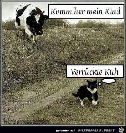 Komm her mein Kind Komm her mein Kind