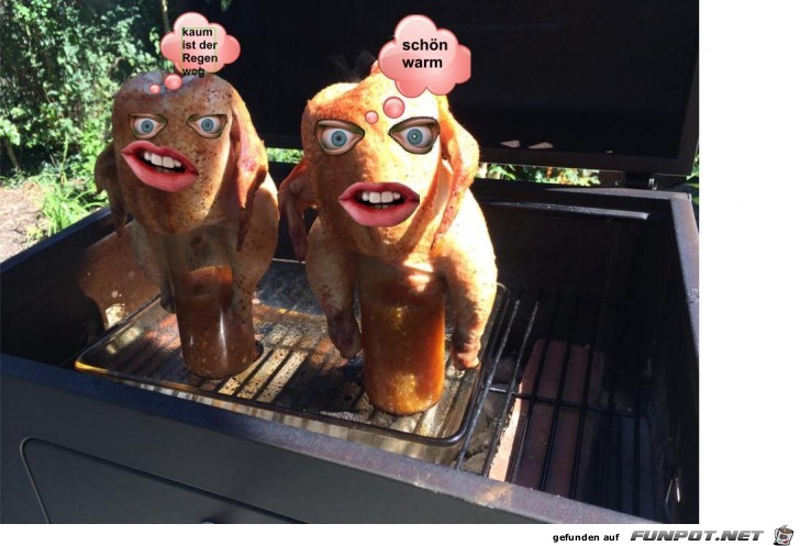 Grill Haehnchen Grill Haehnchen