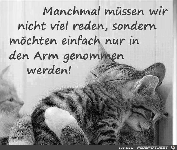 in den arm nehmen in den arm nehmen