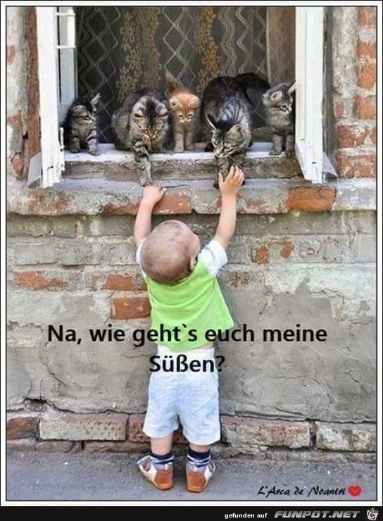 Na wie gehts Na wie gehts