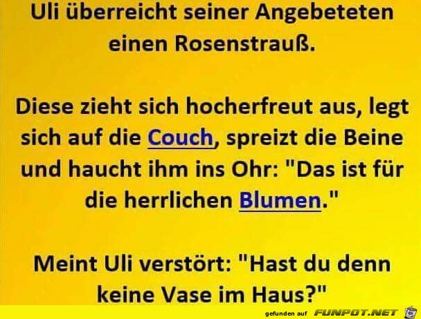 Hast du keine Vase im Haus