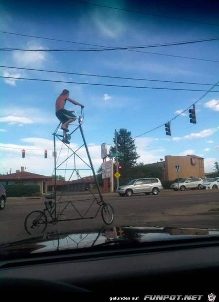 fun-until-you-hit-the-stoplight-you-nincompoop fun-until-you-hit-the-stoplight-you-nincompoop