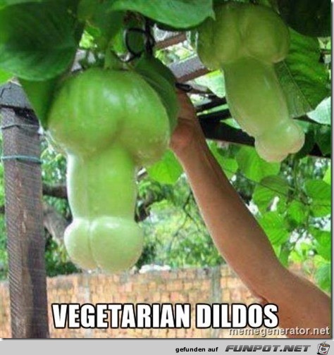 Vegetarian-Dildos---adult-meme1