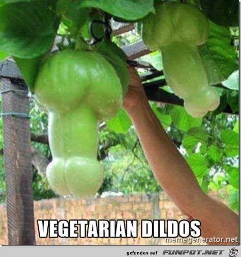 Vegetarian-Dildos---adult-meme1 Vegetarian-Dildos---adult-meme1